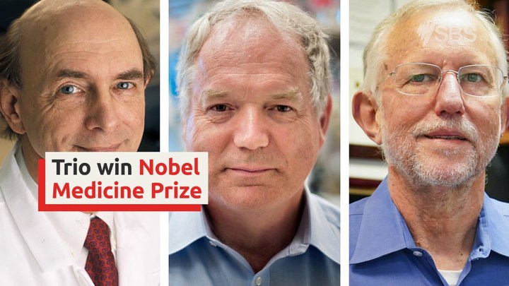 Three Scientists Win Nobel Medicine Prize For Discovery Of Hepatitis C Virus Sbs On Demand Three Scientists Win Nobel Medicine Prize For Discovery Of Hepatitis C Virus Sbs On Demand